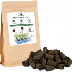 كبسولات البذور كبسولات البذور